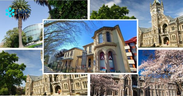 Nên Chọn Các Trường Đại Học Ở New Zealand Nào? Top 8 Trường Tốt