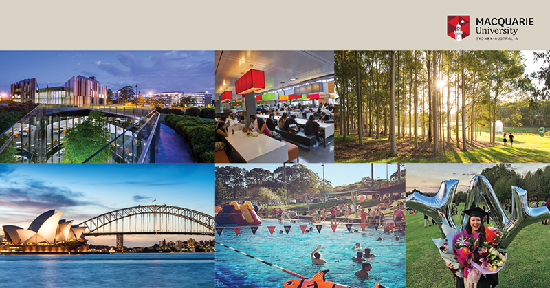 Cuộc sống tại Sydney và cơ hội học tập tại trường ĐH Macquarie