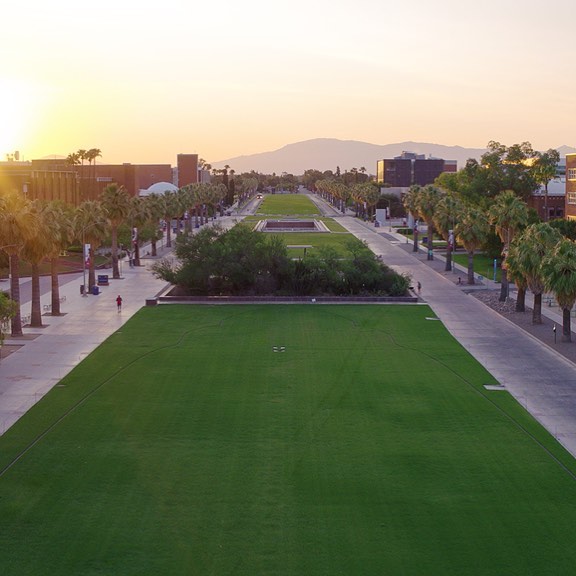 Đại học Arizona Mỹ