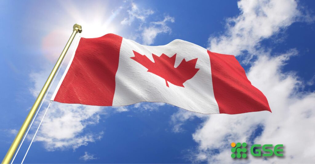 Canada ban hành chính sách hỗ trợ du học sinh giữa mùa dịch Covid-19