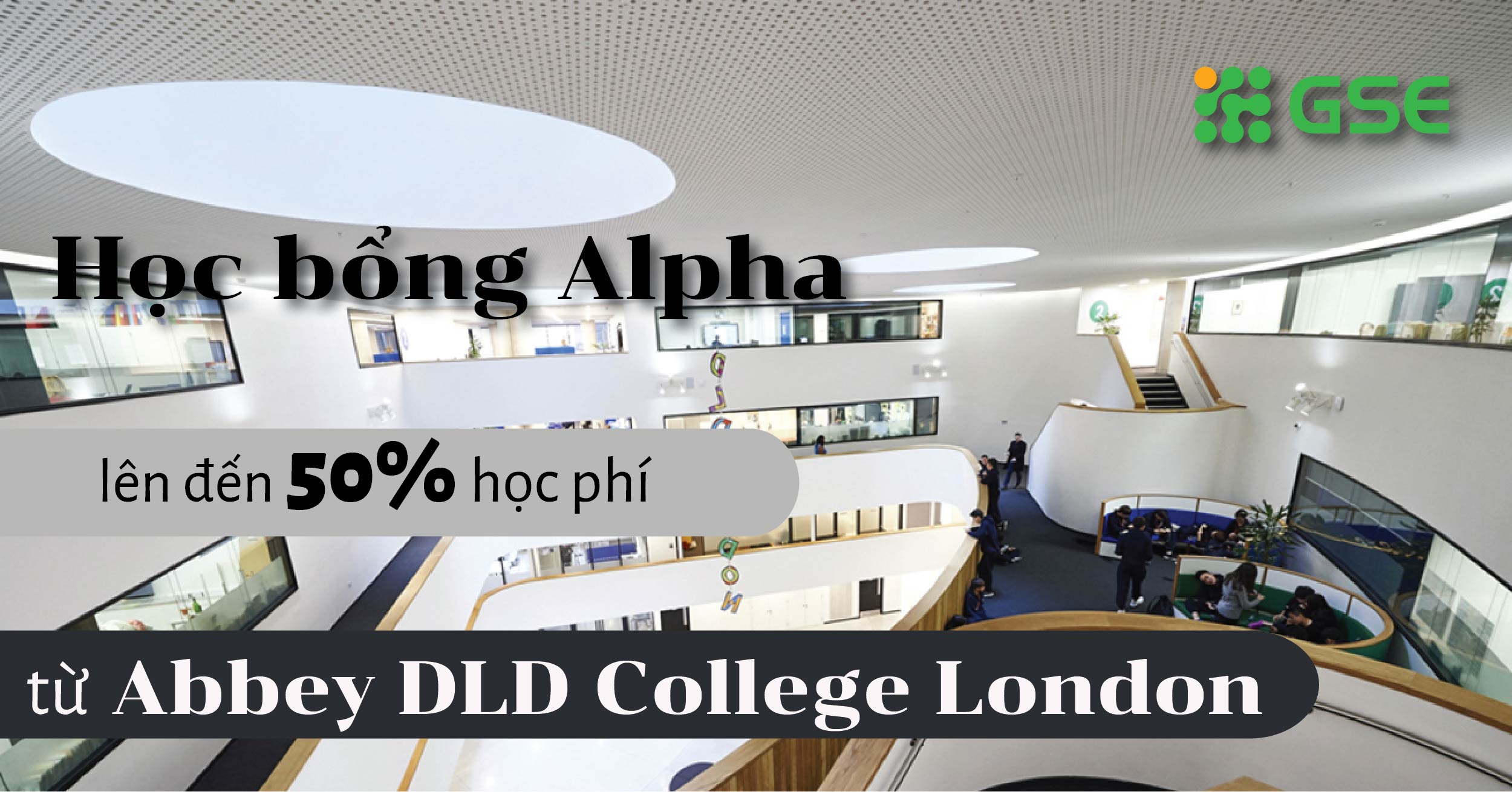 hoc bong alpha abbey dld college london 01