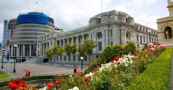 Học Bổng trên $25,000 cho bậc trung học tại Wellington