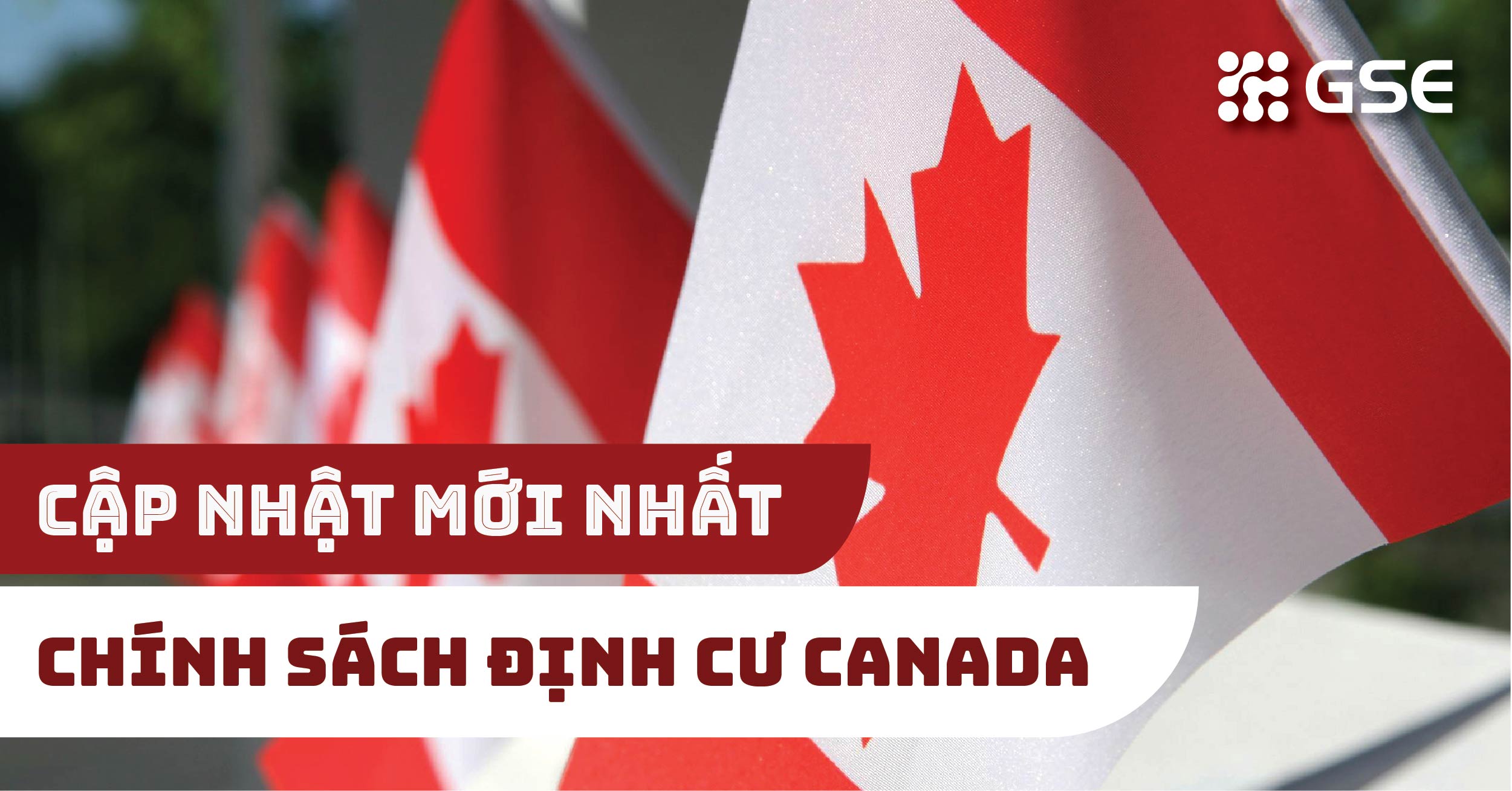 Cập nhật chính sách định cư Canada mới nhất năm 2021