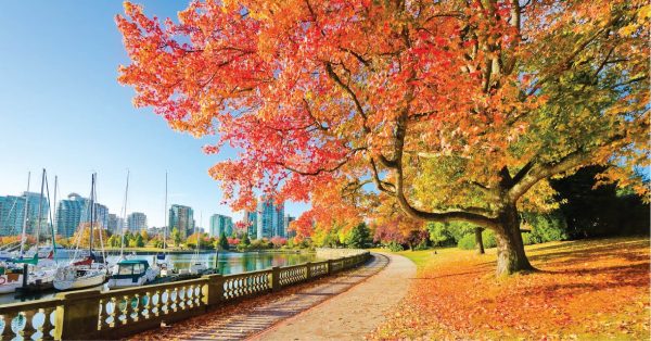 6 địa điểm bỏ ngay vào WishList của bạn khi đến Vancouver – Canada