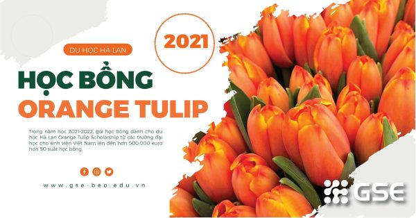 Học bổng du học Hà Lan 2021 – Orange Tulip Scholarship