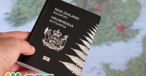 Qui trình xin visa du học New Zealand
