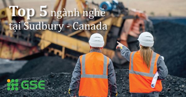 Top 5 ngành nghề chính tại Sudbury Canada và các ngành học tương ứng