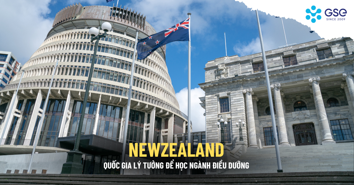New Zealand quốc gia lý tưởng đề học ngành điều dưỡng